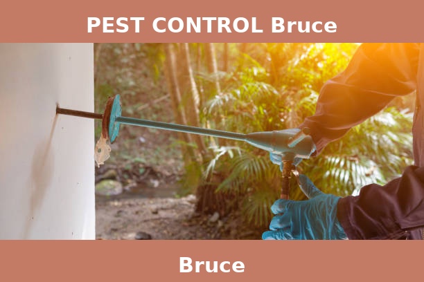 PEST CONTROL Bruce